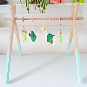 Gimnasio Montessori - Camello Verde