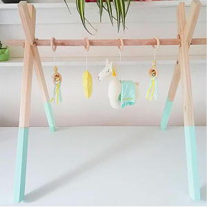 Gimnasio Montessori - Camello Menta
