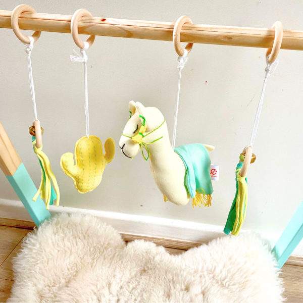 Gimnasio Montessori - Camello Menta - Imagen 5