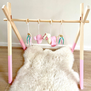 Gimnasio Montessori - Camello Rosa