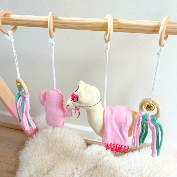 Gimnasio Montessori - Camello Rosa - Imagen 2