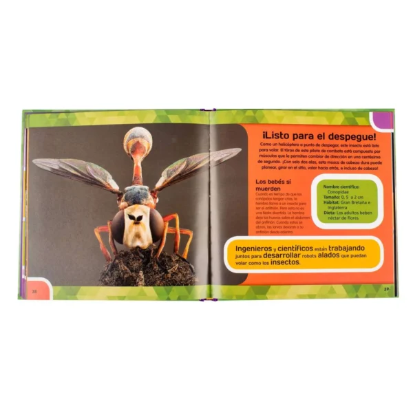 Close Up Insectos & Mariposas - Imagen 3