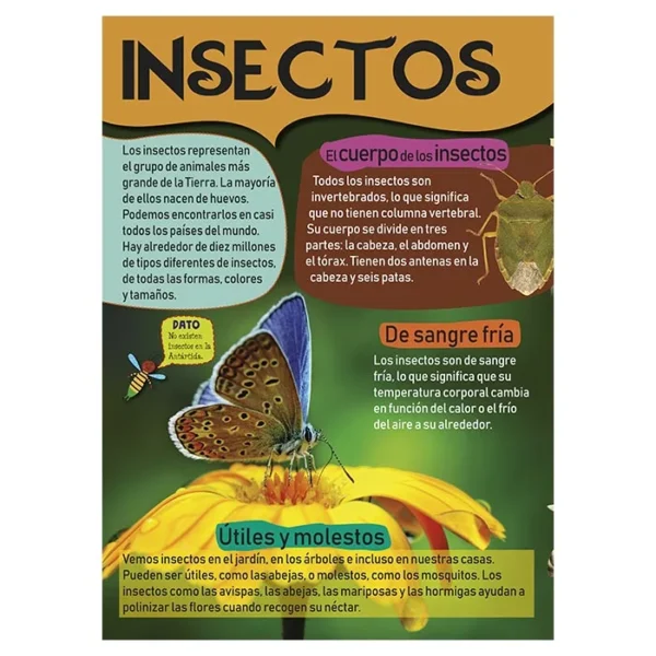 Mi Gran Libro de Insectos - Imagen 3